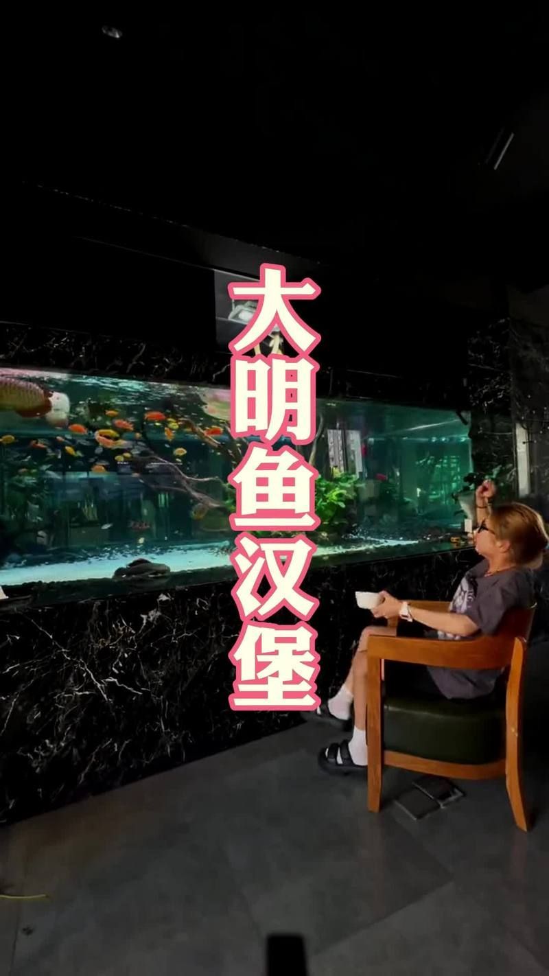龍魚吃牛心漢堡有哪些注意事項？（關于龍魚食用牛心漢堡的注意事項）