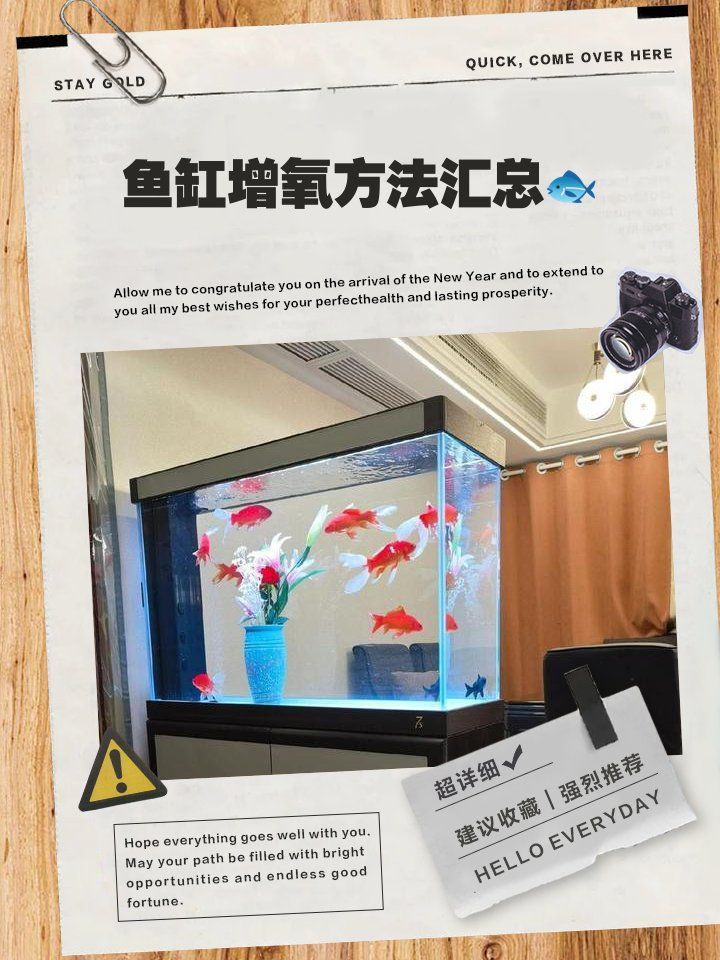 龍魚浮在水面如何增加氧氣？（龍魚增氧技術）