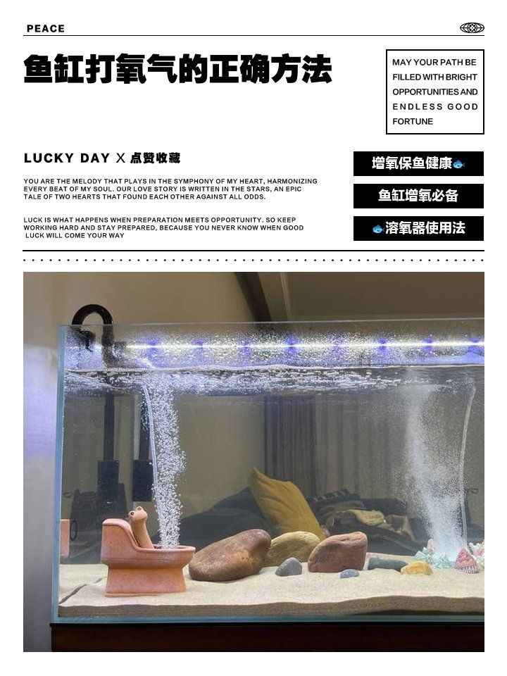 龍魚浮在水面如何增加氧氣？（龍魚增氧技術）