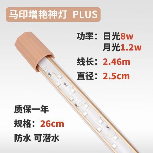 紅龍魚使用NEC 6700K白燈有哪些品牌推薦？（nec6700k白燈）
