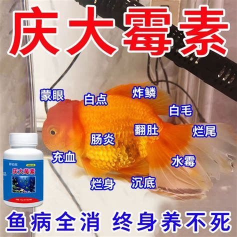 龍魚蒙眼加黑身多久能恢復(fù)？（龍魚蒙眼加黑身的恢復(fù)攻略）
