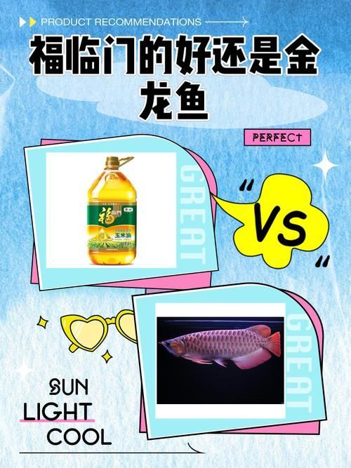 福臨門和金龍魚(yú)的品質(zhì)有何不同？（臨門金龍魚(yú)vs福臨門）