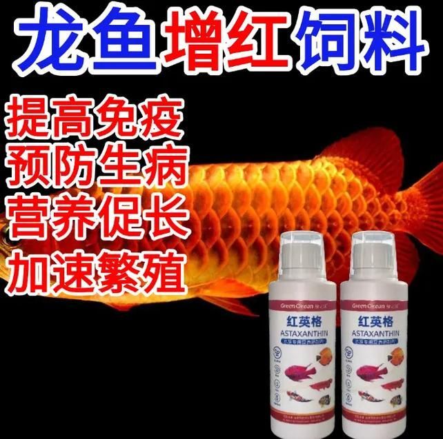 如何判斷紅龍魚是否需要補充蝦青素？（如何判斷紅龍魚是否需要補充蝦青素）