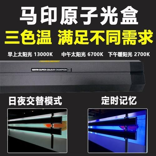 有哪些品牌的龍魚燈色溫比較合適？（魚燈色溫的選擇對于維持水質的穩定）