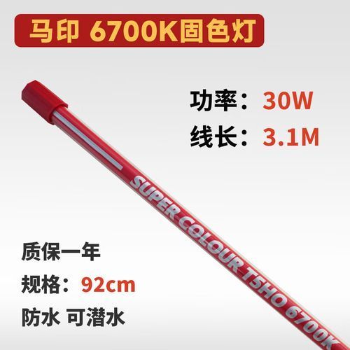 有哪些品牌的龍魚燈色溫比較合適？（魚燈色溫的選擇對于維持水質的穩定）