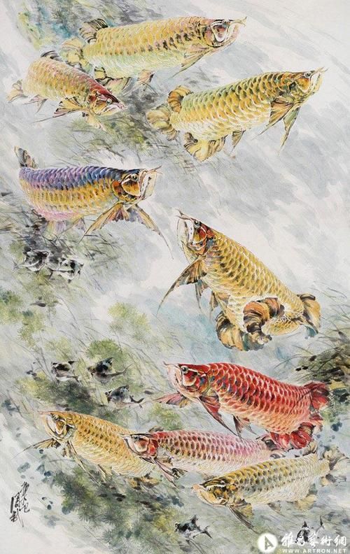 給我推薦一些國畫工筆金龍魚的畫家（畫工筆金龍魚的畫家）