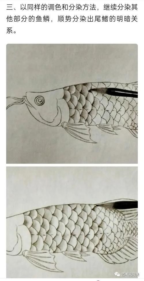 給我推薦一些國畫工筆金龍魚的畫家（畫工筆金龍魚的畫家）