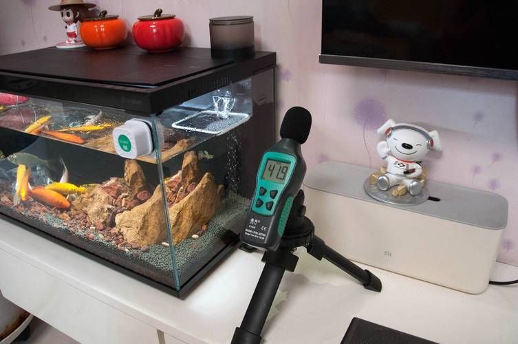 如何判斷金龍魚是否水質(zhì)中毒？（arxiv論文助手判斷金龍魚是否水質(zhì)中毒是否水質(zhì)中毒）