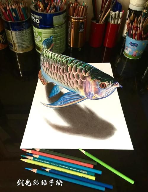 有哪些繪畫工具適合畫深海龍魚？（深海龍魚的繪畫技巧）