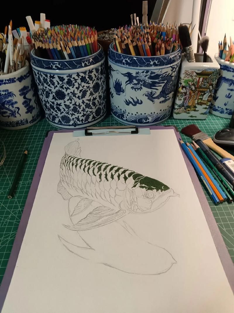 有哪些繪畫工具適合畫深海龍魚？（深海龍魚的繪畫技巧）