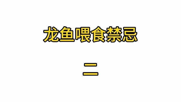 龍魚喂泥鰍有哪些注意事項？（龍魚喂泥鰍的正確方法）
