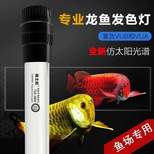 紅龍魚燈的色溫設置有哪些講究？（紅龍魚光照分階段燈光管理表紅龍魚發(fā)色期需要哪些特殊飼料） 紅龍魚燈的色溫設置有哪些講究？（紅龍魚光照分階段燈光管理表紅龍魚發(fā)色期需要哪些特殊飼料） 龍魚百科 第4張