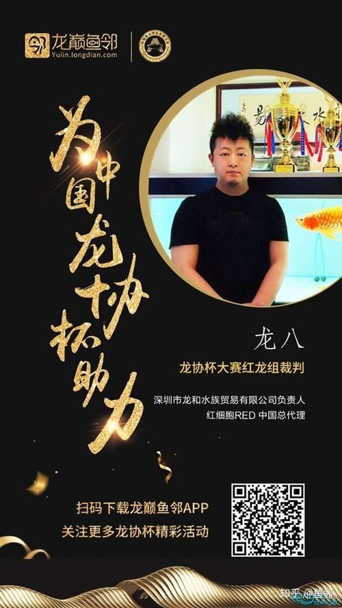 龍魚共識團隊與長城杯世界龍魚錦標賽有何關聯？（長城杯世界龍魚共識團隊）