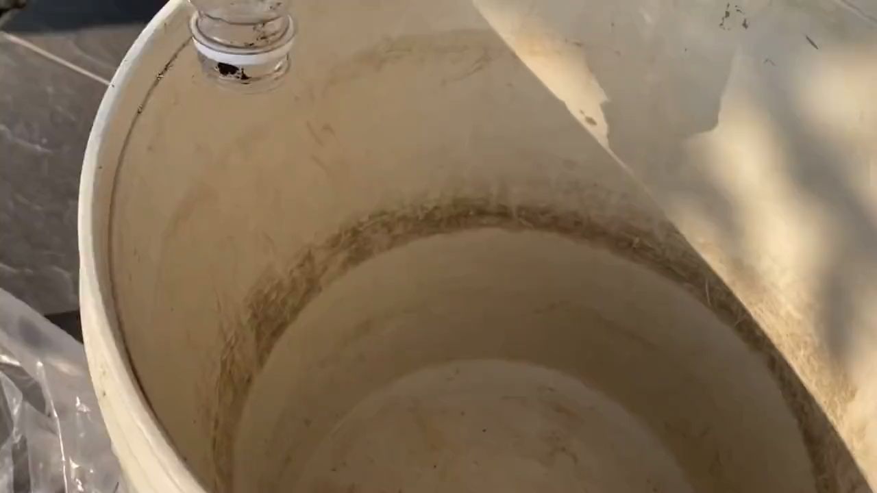 蜈蚣作為龍魚食物有哪些優點？（蜈蚣對龍魚有什么好處）