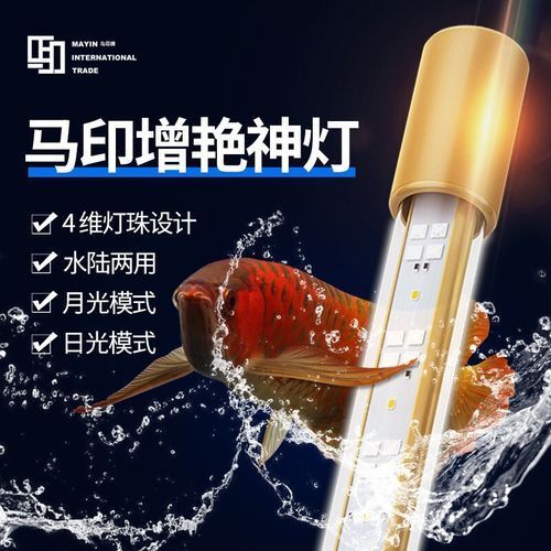 給我推薦幾款適合龍魚的小夜燈（龍魚燈哪款適合龍魚的小夜燈推薦及選購指南及選購指南） 給我推薦幾款適合龍魚的小夜燈（龍魚燈哪款適合龍魚的小夜燈推薦及選購指南及選購指南） 龍魚百科 第2張