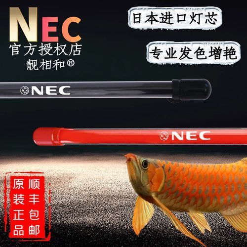 給我推薦幾款性價比高的NEC 6700K龍魚燈（nec6700k龍魚燈性價比分析）