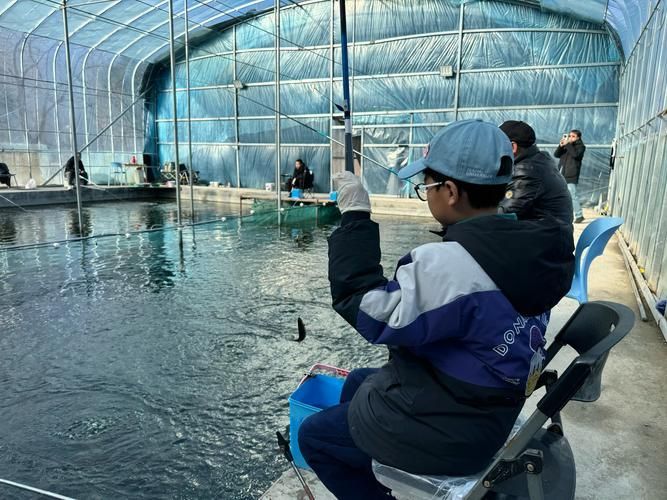 陽江龍魚養殖技術（江龍魚養殖技術摘要：陽江龍魚養殖技術摘要：具備發展高檔觀賞魚）