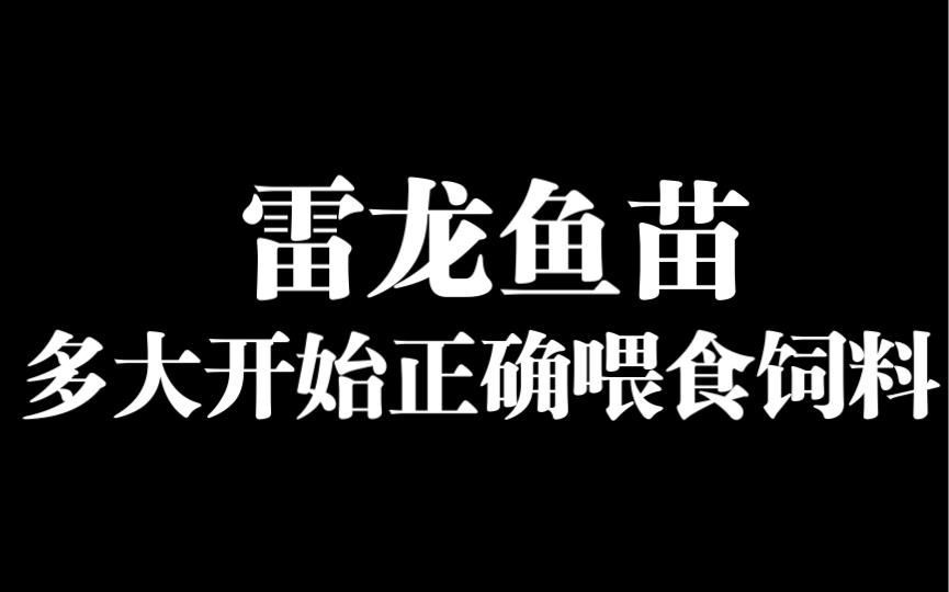 龍魚一周應該喂幾次小河蝦？（魚一周喂食小河蝦頻率取決于多種因素，龍魚各階段喂食計劃表）