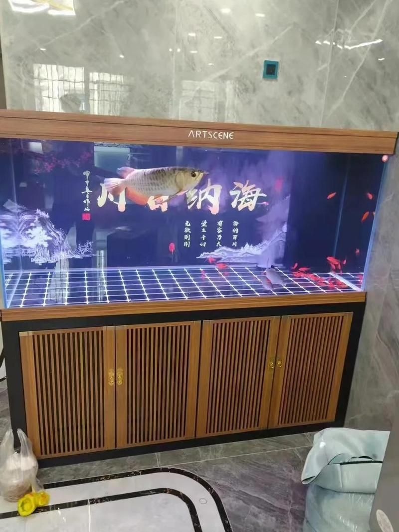 如何挑選一條健康的20厘米金龍魚？（20厘米金龍魚健康魚體圖示與挑選20厘米健康魚體圖示）