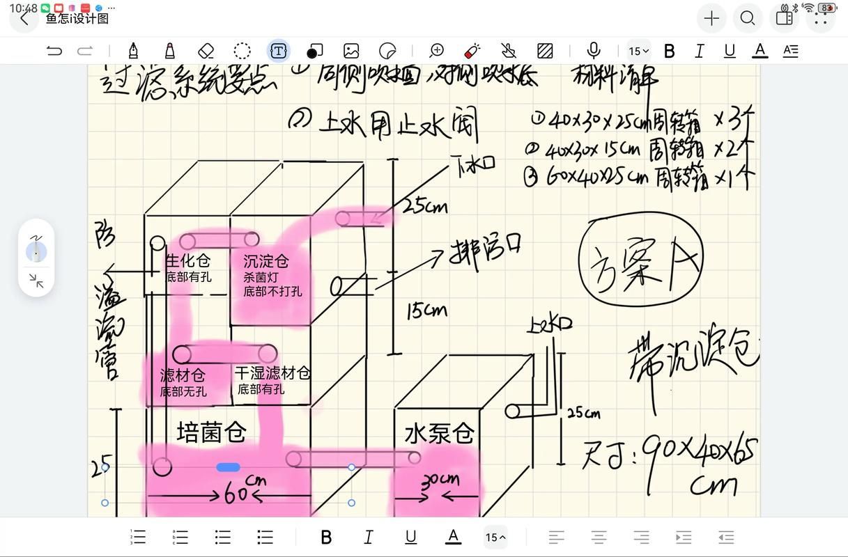 小金頭過背龍魚的飼養(yǎng)成本有多高？（小金頭過背龍魚的飼養(yǎng)）