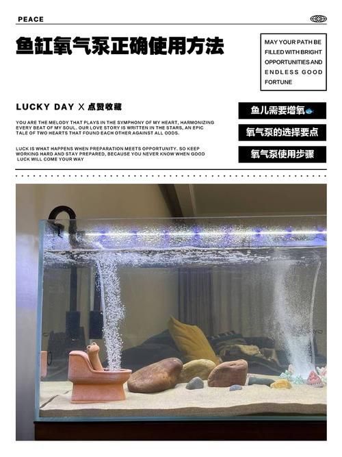 龍魚鎖框后如何緩解壓力？（arowanatankcovermodification指魚缸頂部封閉式結構封閉式結構） 龍魚鎖框后如何緩解壓力？（arowanatankcovermodification指魚缸頂部封閉式結構封閉式結構） 龍魚百科 第3張