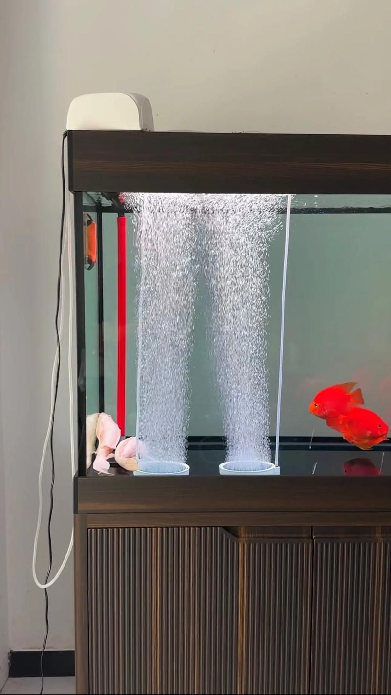 龍魚鎖框后如何緩解壓力？（arowanatankcovermodification指魚缸頂部封閉式結構封閉式結構） 龍魚鎖框后如何緩解壓力？（arowanatankcovermodification指魚缸頂部封閉式結構封閉式結構） 龍魚百科 第2張