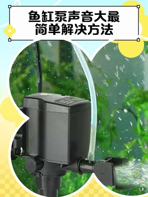 龍魚鎖框后如何緩解壓力？（arowanatankcovermodification指魚缸頂部封閉式結構封閉式結構） 龍魚鎖框后如何緩解壓力？（arowanatankcovermodification指魚缸頂部封閉式結構封閉式結構） 龍魚百科 第4張