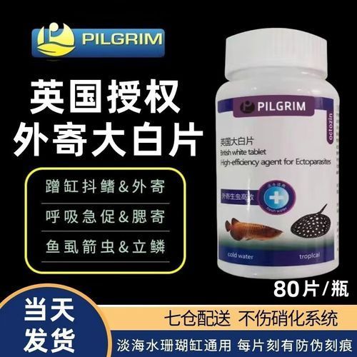 龍魚吃泥鰍后多久會死亡？，龍魚吃泥鰍后如何急救？