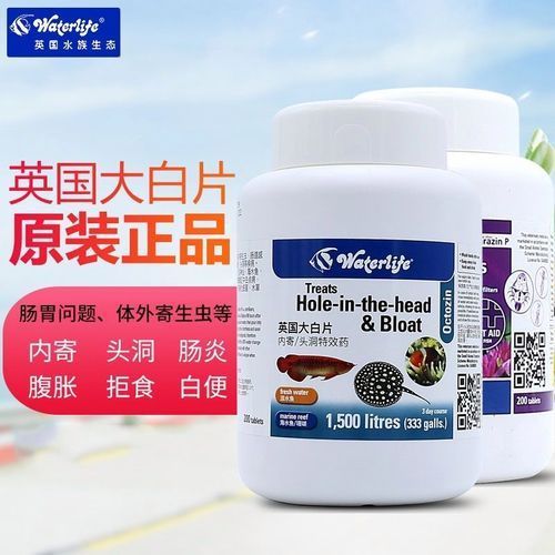 龍魚病特效藥的價格范圍（龍魚病特效藥價格范圍）