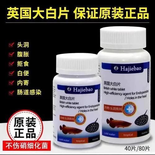 龍魚病特效藥的價格范圍（龍魚病特效藥價格范圍）