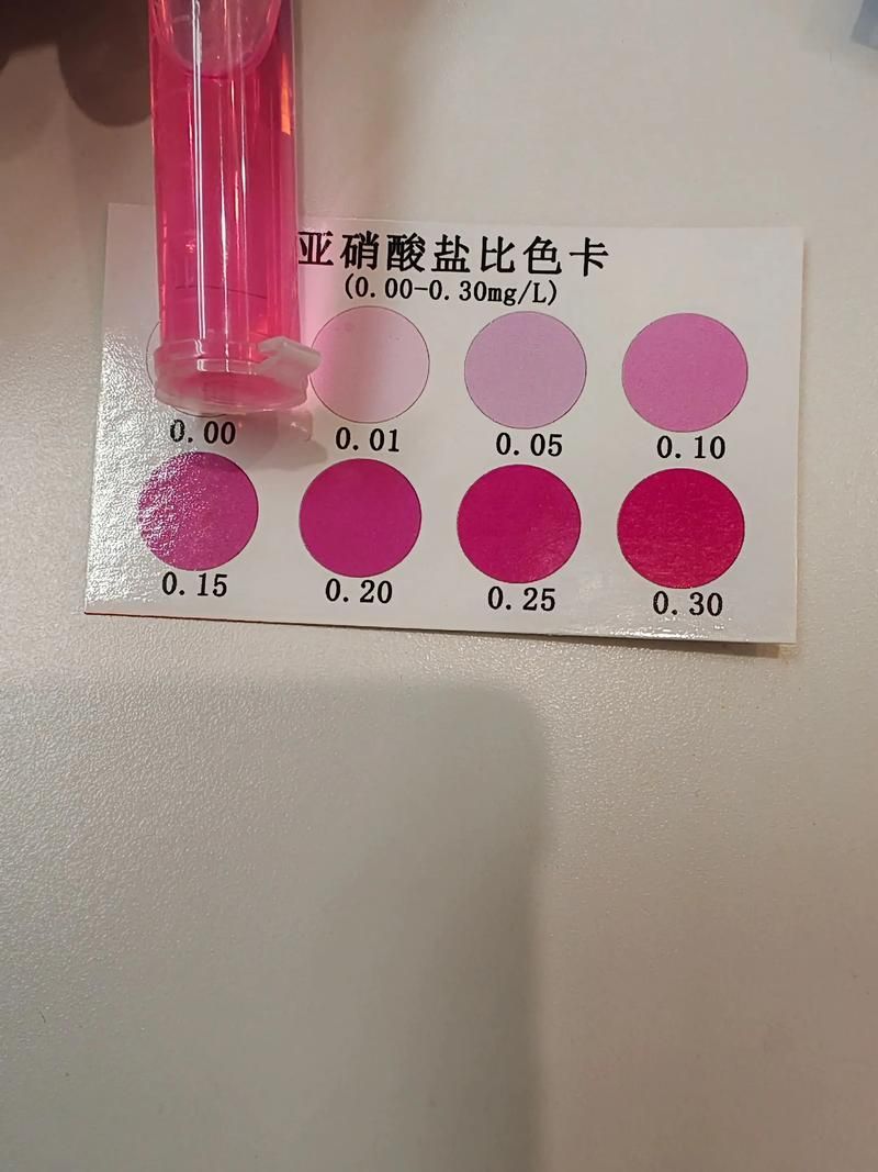 如何檢測紅龍魚缸的水質？（紅龍魚養護要點）