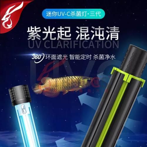 有哪些品牌的龍魚殺菌燈值得推薦？（龍魚殺菌燈哪個品牌最好）