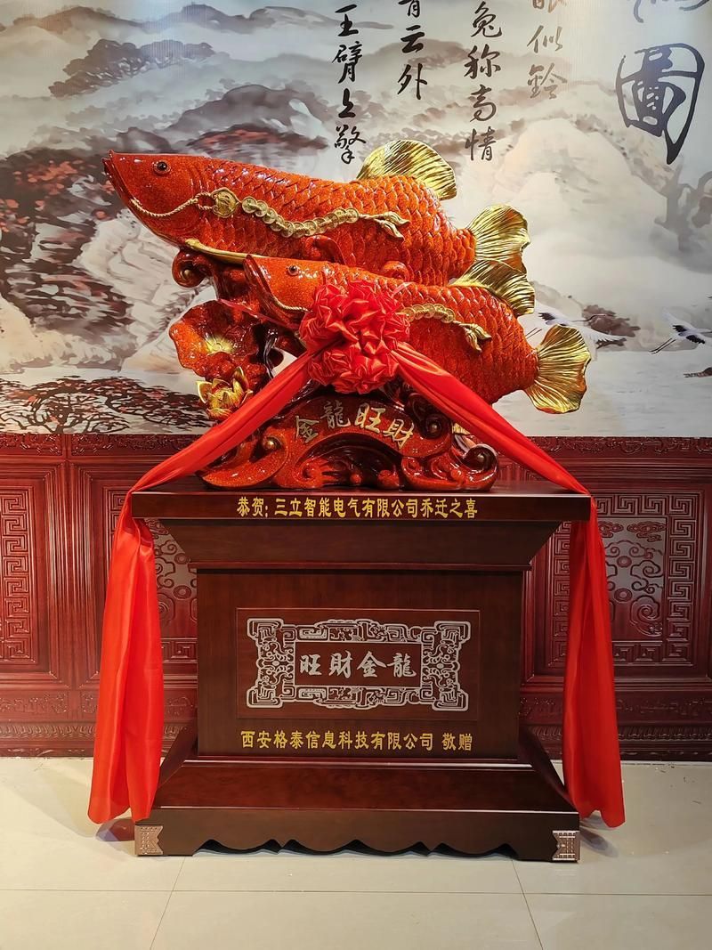能提供更多招財龍魚的圖片嗎？（可以提供更多招財龍魚的圖片嗎？）
