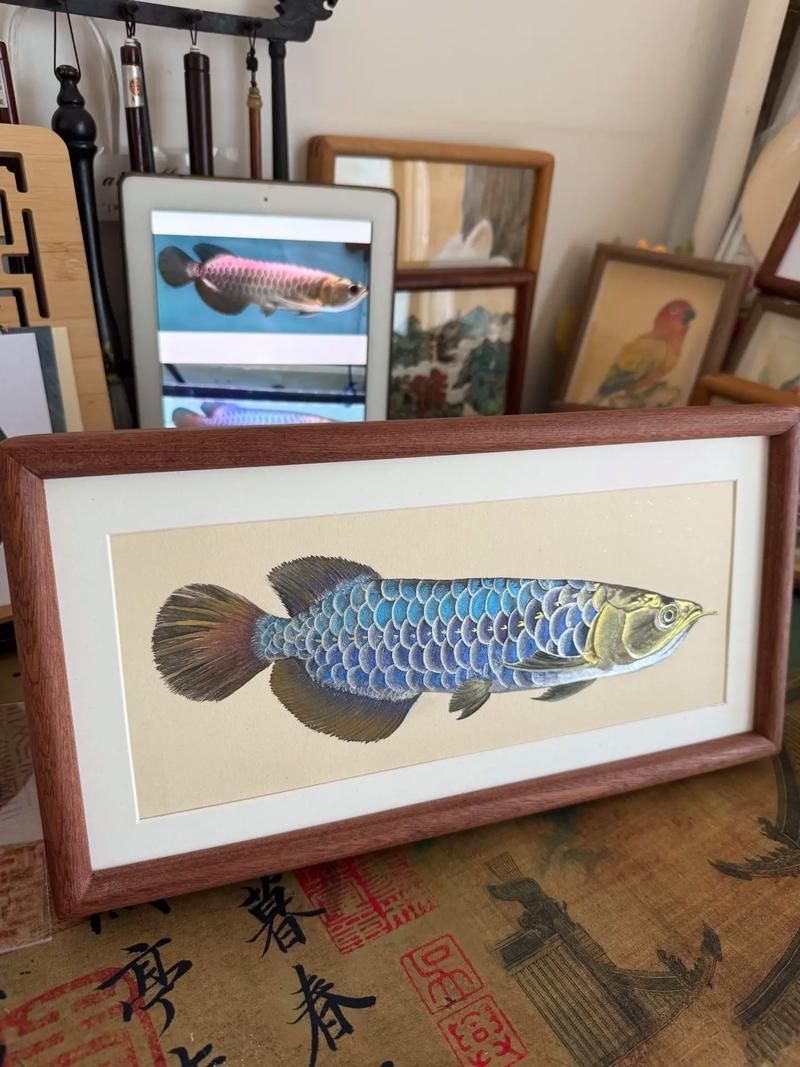 還有哪些畫家擅長(zhǎng)畫金龍魚？（金龍魚畫家代表作清單） 還有哪些畫家擅長(zhǎng)畫金龍魚？（金龍魚畫家代表作清單） 龍魚百科 第6張