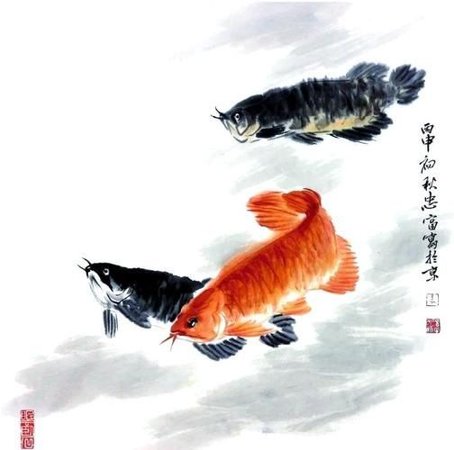 還有哪些畫家擅長(zhǎng)畫金龍魚？（金龍魚畫家代表作清單） 還有哪些畫家擅長(zhǎng)畫金龍魚？（金龍魚畫家代表作清單） 龍魚百科 第4張