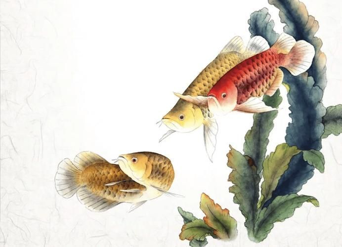 有哪些方法可以緩解龍魚抽嘴，如何判斷龍魚抽嘴的嚴重程度？ 有哪些方法可以緩解龍魚抽嘴，如何判斷龍魚抽嘴的嚴重程度？ 龍魚百科 第2張
