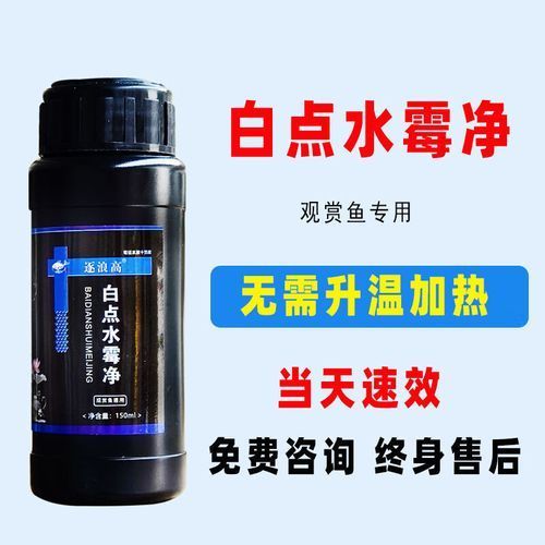 哪些藥物可以有效治療龍魚病？（治療龍魚病的藥物種類）