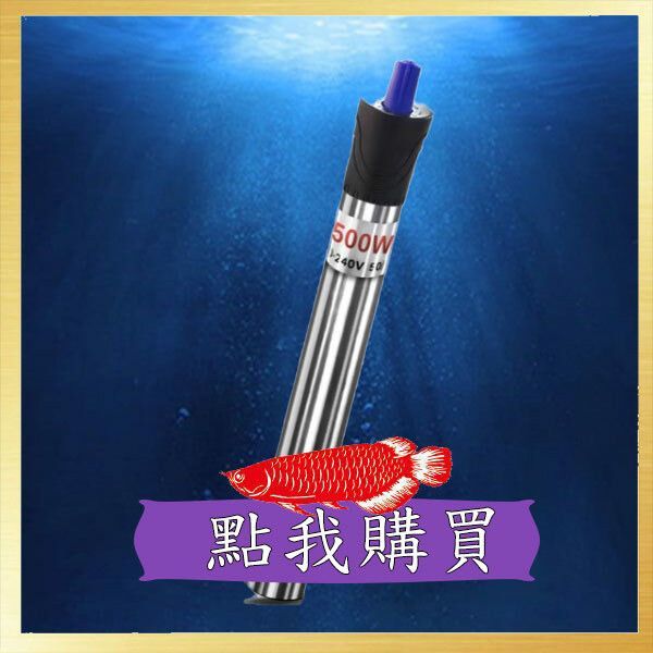 龍魚眼凸出來白色蟲子會自愈嗎？（龍魚眼部出現白色凸出物怎么辦）