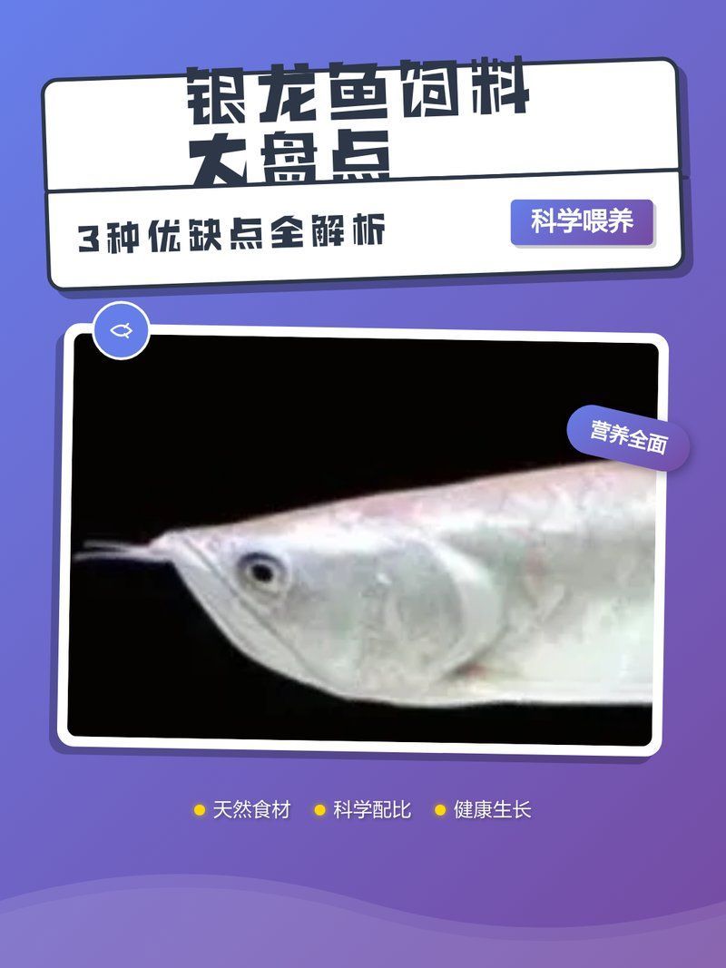 銀龍魚飼料哪個牌子好？（小魚兒天地，銀龍魚飼料大盤點|3種優(yōu)缺點） 銀龍魚飼料哪個牌子好？（小魚兒天地，銀龍魚飼料大盤點|3種優(yōu)缺點） 龍魚百科 第12張