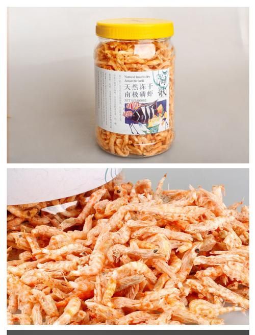銀龍魚飼料哪個牌子好？（小魚兒天地，銀龍魚飼料大盤點|3種優(yōu)缺點） 銀龍魚飼料哪個牌子好？（小魚兒天地，銀龍魚飼料大盤點|3種優(yōu)缺點） 龍魚百科 第10張