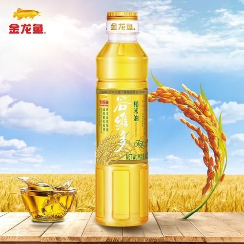 金龍魚稻米油有哪些規格可選？（金龍魚稻米油主流規格與價格對比表）