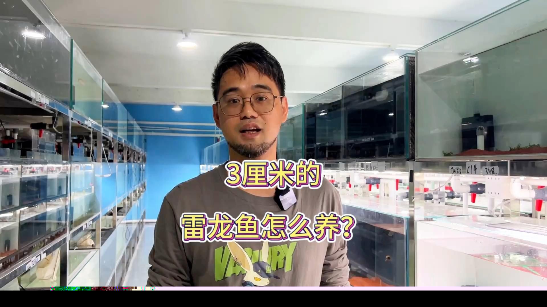 給我推薦一些龍魚的視頻教程（***《龍魚飼養全解析》**《龍魚飼養全解析》）