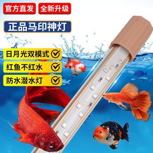 有哪些適合龍魚的夜燈品牌？（適合龍魚的夜燈品牌）