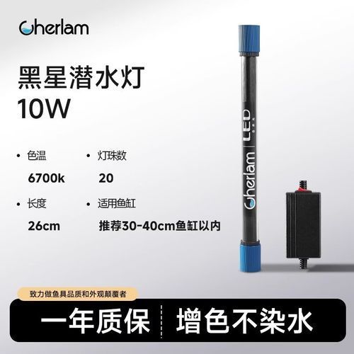 有哪些適合龍魚(yú)的夜燈品牌？（適合龍魚(yú)的夜燈品牌）