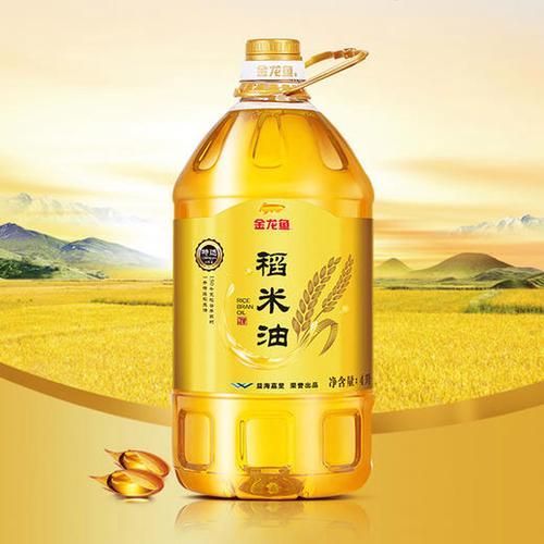 哪里可以買到正品金龍魚稻米油？（正品金龍魚稻米油購買清單） 哪里可以買到正品金龍魚稻米油？（正品金龍魚稻米油購買清單） 龍魚百科 第9張