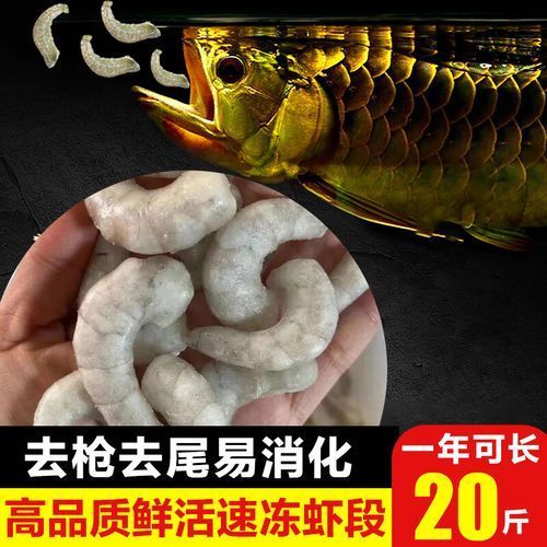 有哪些食物可以替代活魚喂龍魚？