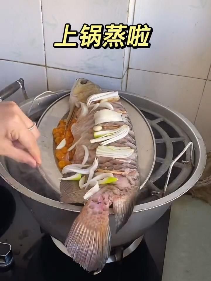哪種烹飪方法最能保留龍魚的營養？（大廚教你清蒸龍魚的處理技巧和做法不腥不柴鮮香滑嫩超子美食）