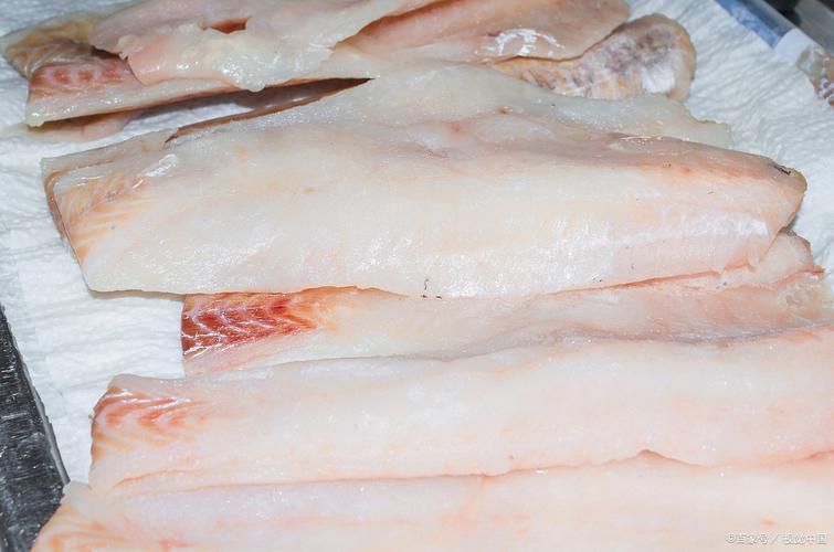 冷水龍魚冷凍保存能保存多久？（冷水龍魚冷凍保存時間）