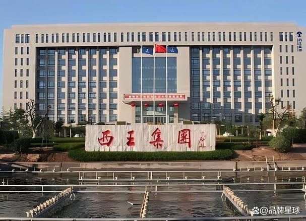 金龍魚和西王哪個(gè)品牌歷史更悠久？（金龍魚和西王哪個(gè)品牌歷史更悠久，金龍魚和西王哪個(gè)更受歡迎）