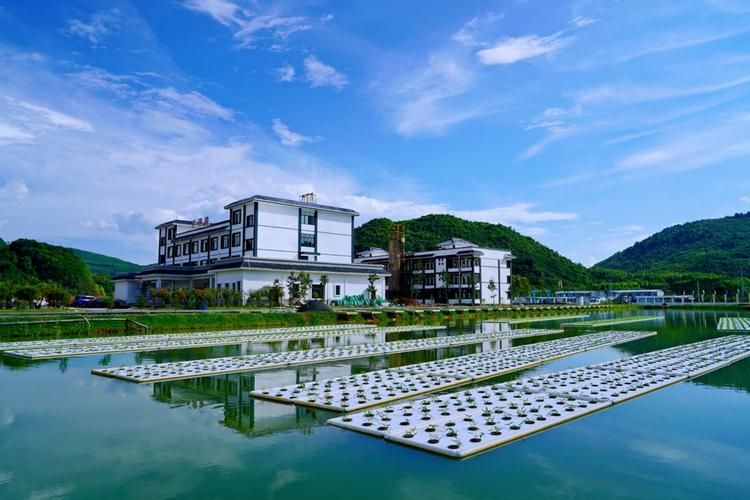 忻城縣龍魚養(yǎng)殖業(yè)的發(fā)展情況（廣西忻城縣龍魚養(yǎng)殖業(yè)）